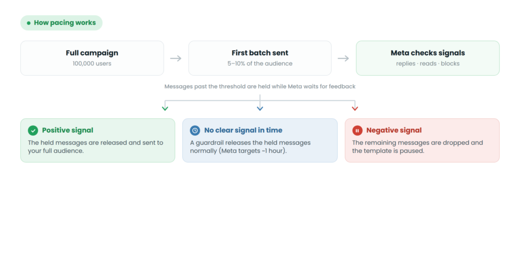 Flussdiagramm, das zeigt, wie Template-Pacing funktioniert: Eine vollständige Kampagne von 100.000 Nutzern sendet einen ersten Batch von 5 bis 10 Prozent, der Rest wird zurückgehalten, während Meta frühe Signale wie Antworten, Lesungen und Blockierungen prüft, und dann gibt ein positives Signal die zurückgehaltenen Nachrichten an die gesamte Zielgruppe frei, fehlt ein klares Signal rechtzeitig, werden sie durch eine interne Schutzgrenze innerhalb von etwa einer Stunde freigegeben, und ein negatives Signal verwirft die verbleibenden Nachrichten und pausiert das Template