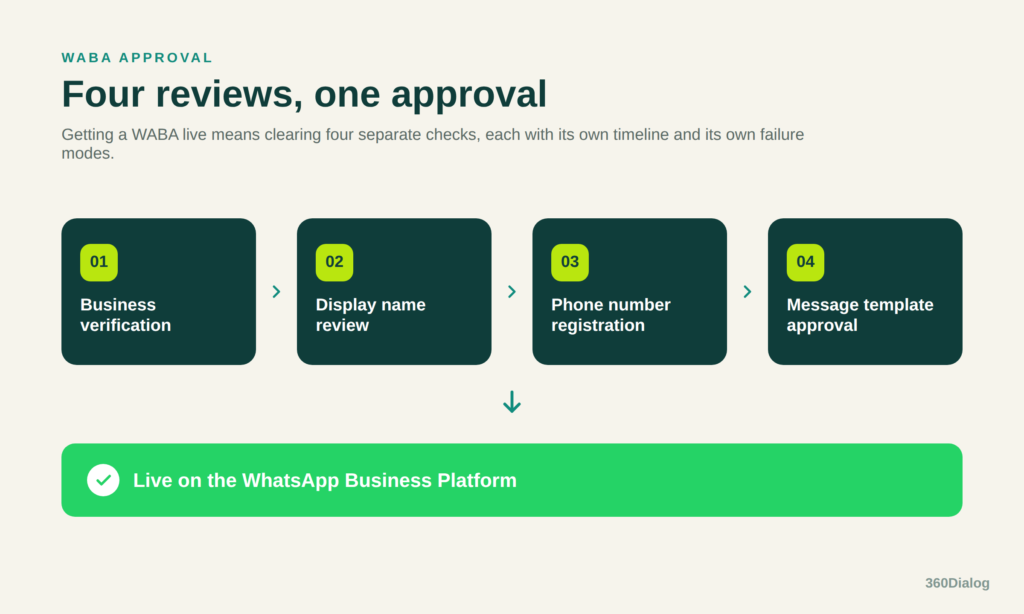 Diagram of the four WABA approval reviews: business verification, display name review, phone number registration, and message template approval, leading to going live on the WhatsApp Business Platform.